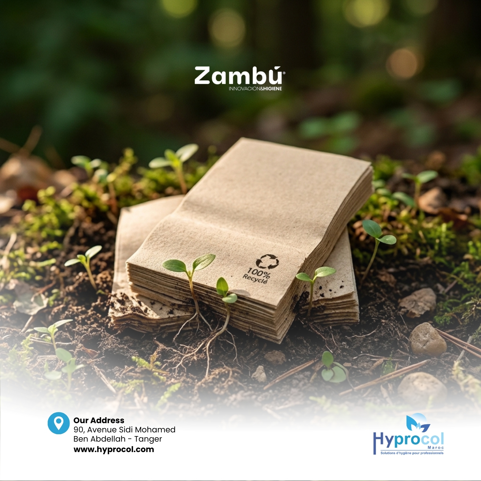 Eco-Friendly Products