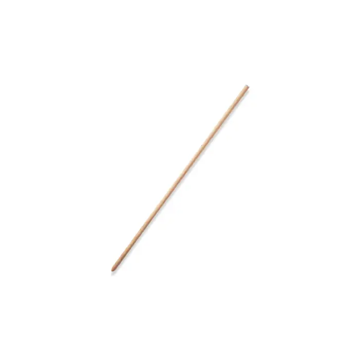Manche en bois VERNIS - "1,20m"