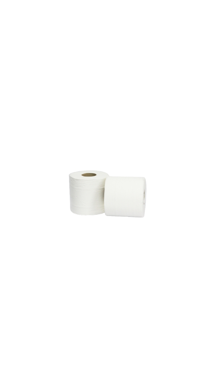 6 Bobines Essuie-Mains, 100% Cellulose, Lisse, 2plis, 1kg